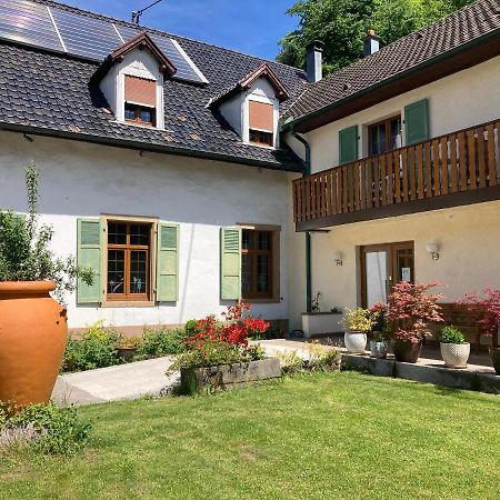 Auberge De France Kruth Εξωτερικό φωτογραφία